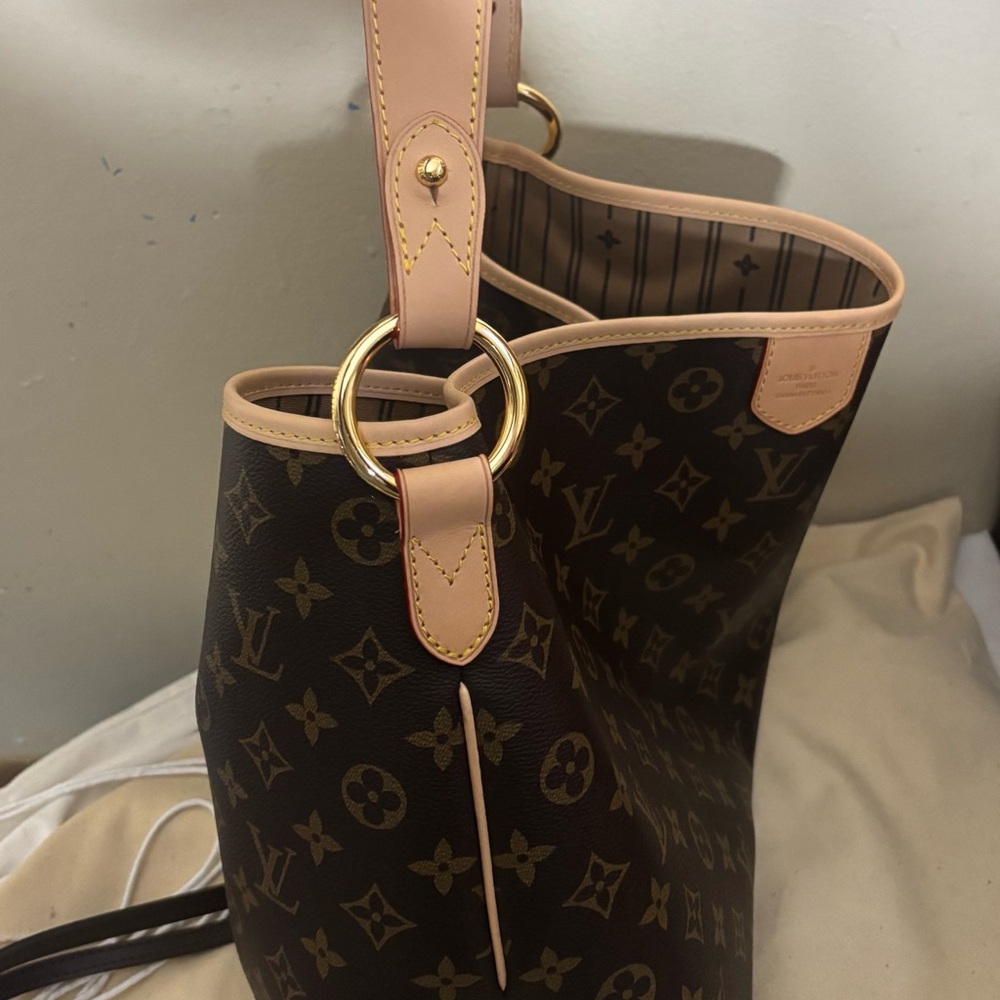 Dhg bag originally $200